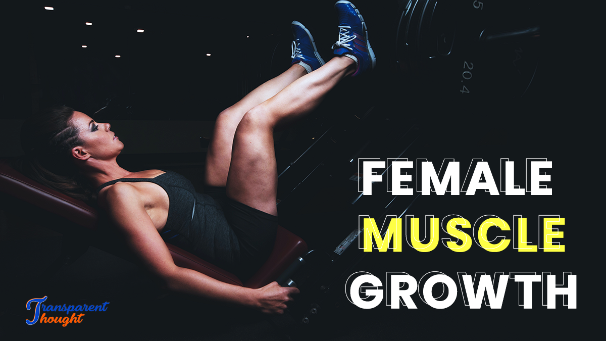 Female Muscle Growth